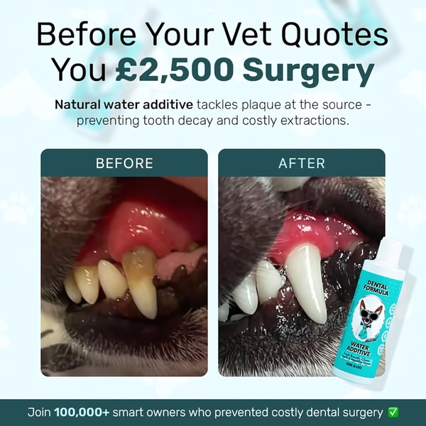 This ad creative uses a high-contrast before-and-after comparison to demonstrate the efficacy of a dental water additive for pets.